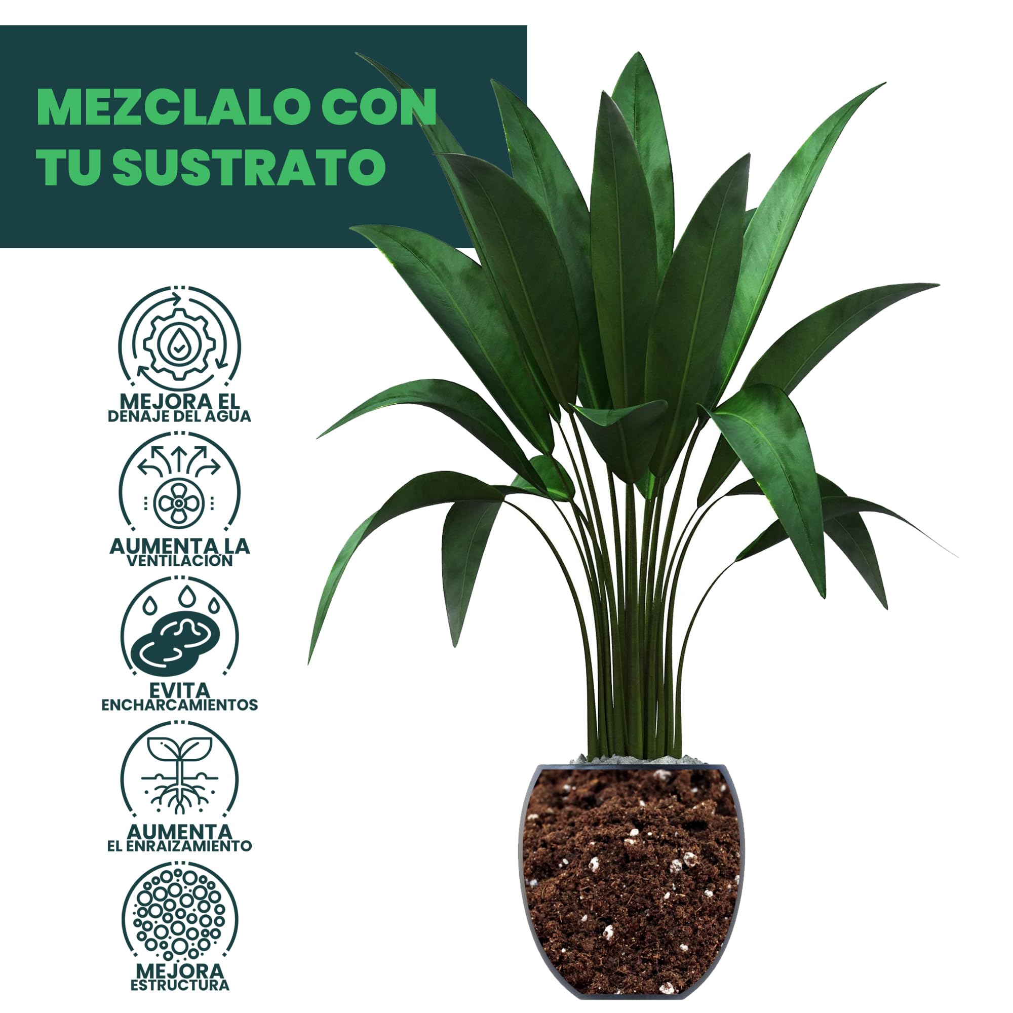 Perlita Expandida Volcánica 100% Natural - Aditivo para Sustratos y Suelos de Cultivo - Mejora la Retención de Agua y Aireación - Envase de 100 litros