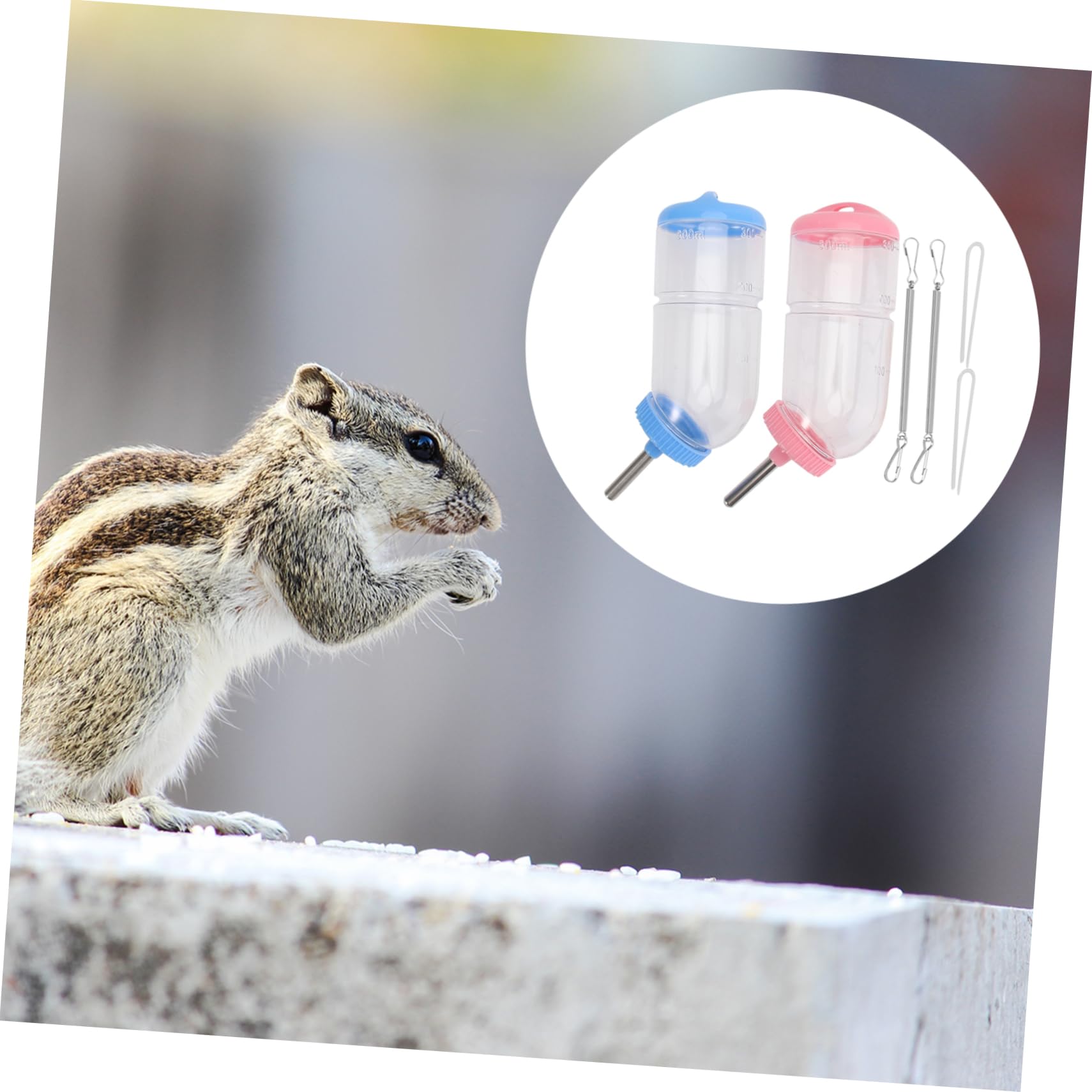 INOOMP 6pièces Bouteille Eau pour Animaux Abreuvoir à Créatif pour Rongeurs Et Petits Animaux De Couleur Aléatoire