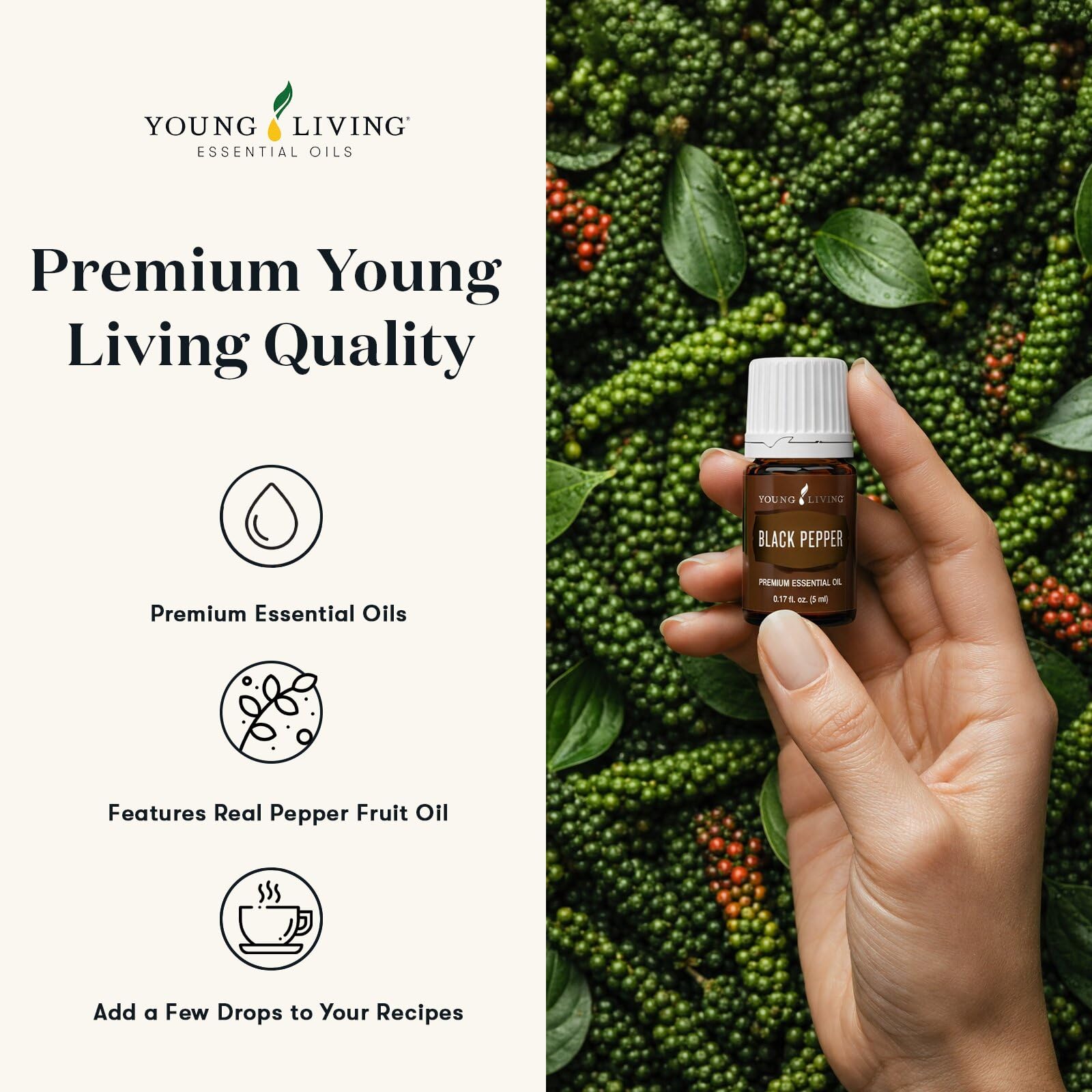 Amazon.com: Young Living Black Pepper Vitality | 5 ml | Spicy