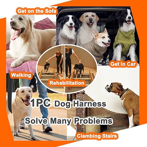 Miniatura 5 de Arnés de elevación para perros para patas traseras, cómodo soporte para patas traseras para perros grandes para ayudar a los perros grandes a subir