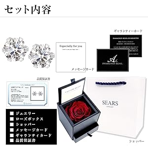 SEARS 天然ダイヤモンド ピアス 一粒ダイヤモンド ピアス レディース 計 0.1ct Pt900 プラチナ