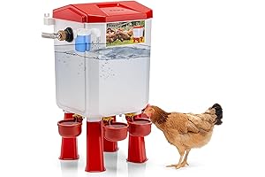 Automatic Raised Chicken Waterer