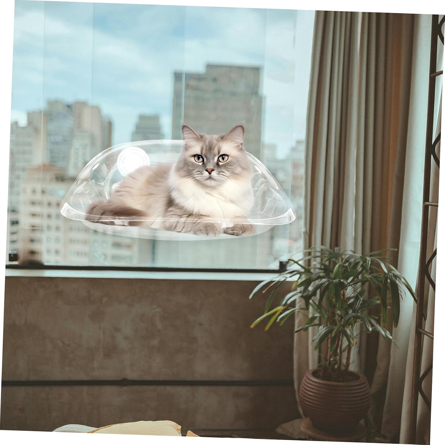 Cat Window Suction Cup Bed Pet Cat Nap Window Perch Bed Window Pet Window Perch