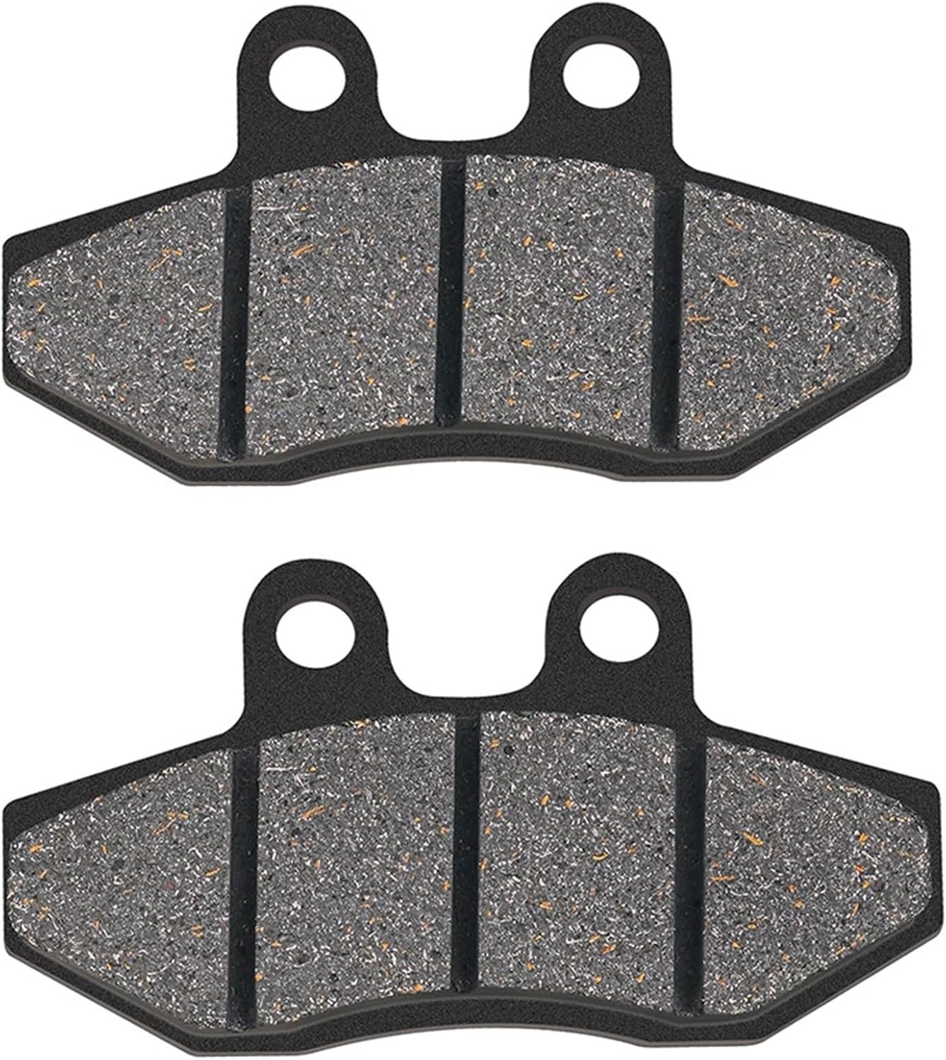 ナタデここな　ブルー実生➕BB錦 チタノタ BB錦 白覆輪斑 ブラックアンドブルー錦 発根済み コレクション株