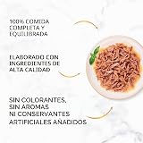 Ver la foto 4
