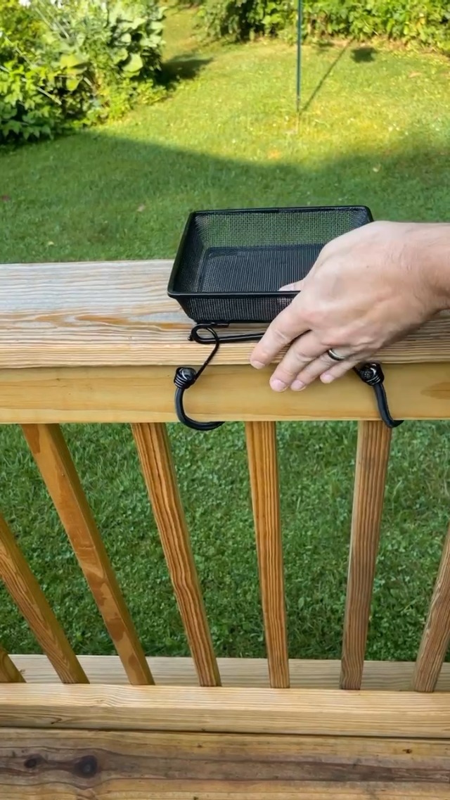 Watch Deck Railing Bird Feeder on Amazon Live