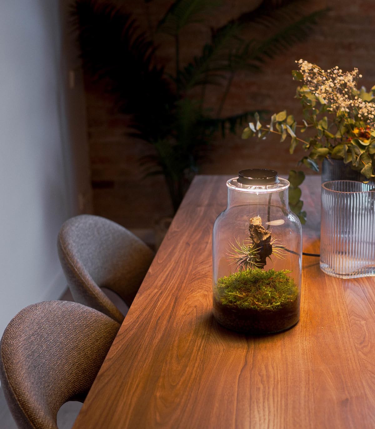 Terrarium Plantes d'Air Jardin Éternel MAKU en Verre Transparent avec Couvercle et Éclairage LED, 27 cm x 17
