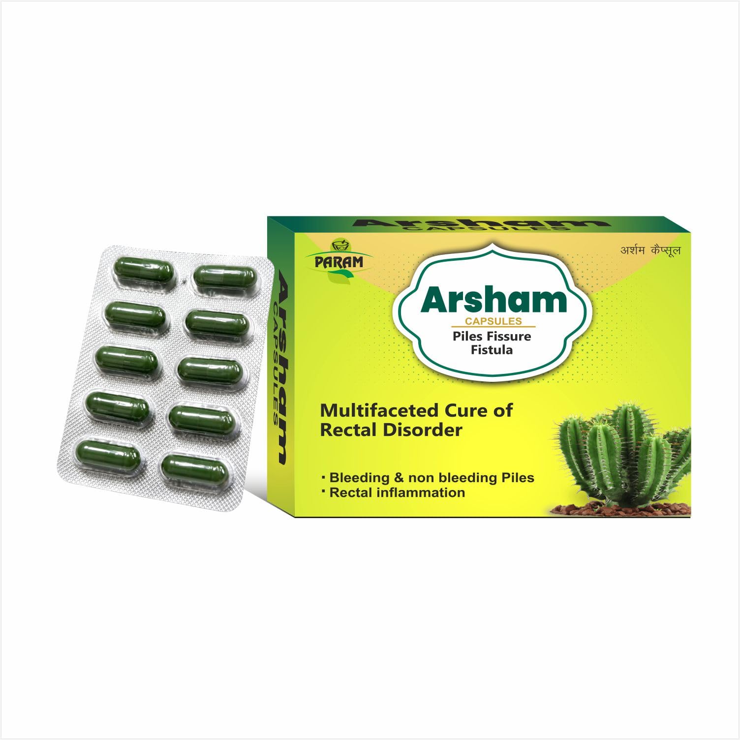 PARAM Arsham Ayurvedic Piles Relief Capsules | Herbal Support for Bleeding & Non-Bleeding Hemorrhoids, Anal Fissure & Rectal Comfort | Helps Relieve Pain, Itching & Inflammation | 30 Capsules (3 x 10 Pack)-image-29