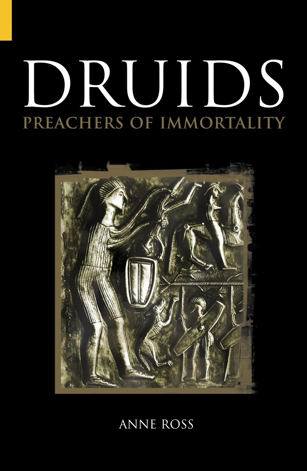Druids: Preachers of Immortality by Anne Ross New Book (Paperback)