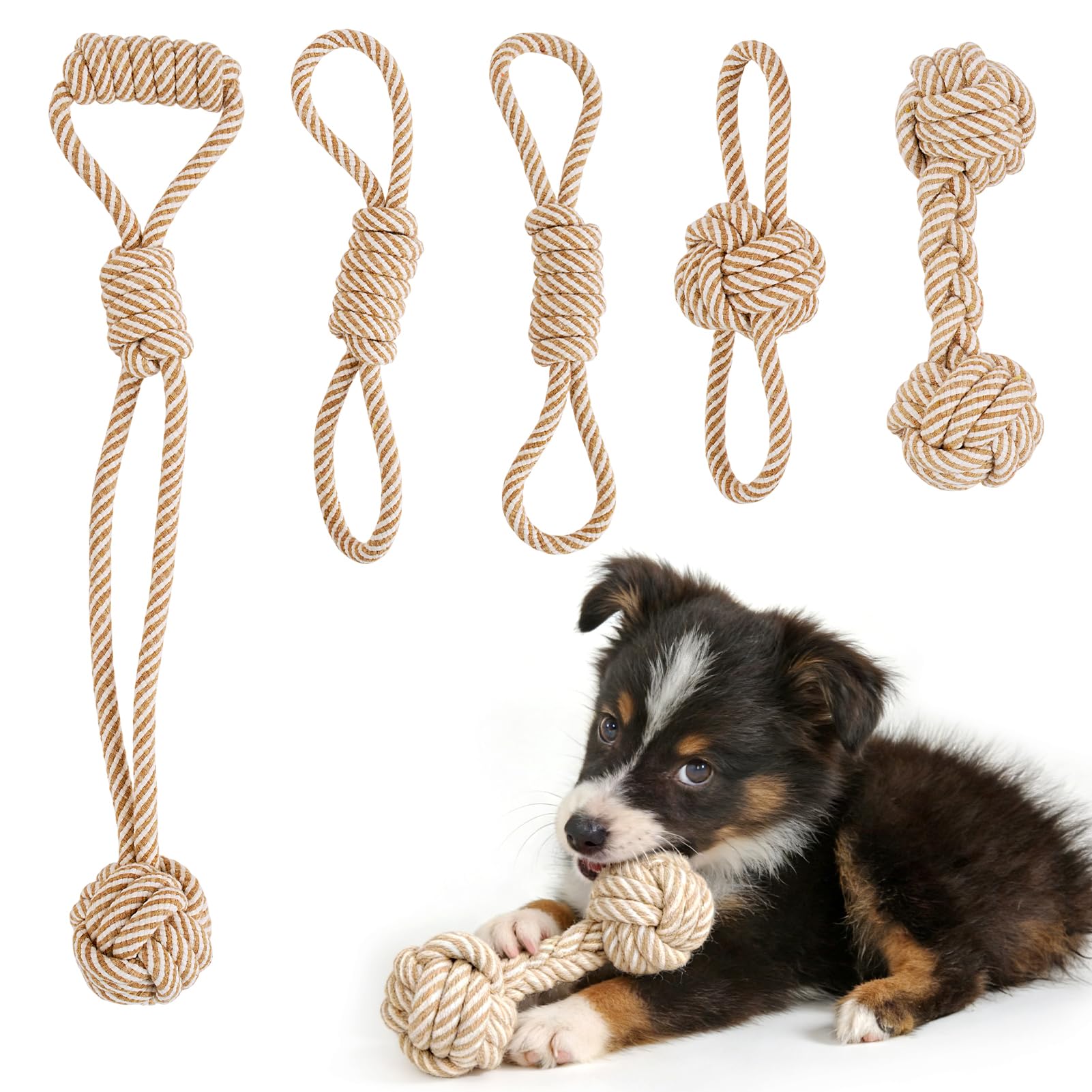 PATTEPOINT Dog Rope Toy for Small Dog 5pcs Natural Chew Toys for Puppy Medium Small Dogs Tug of
