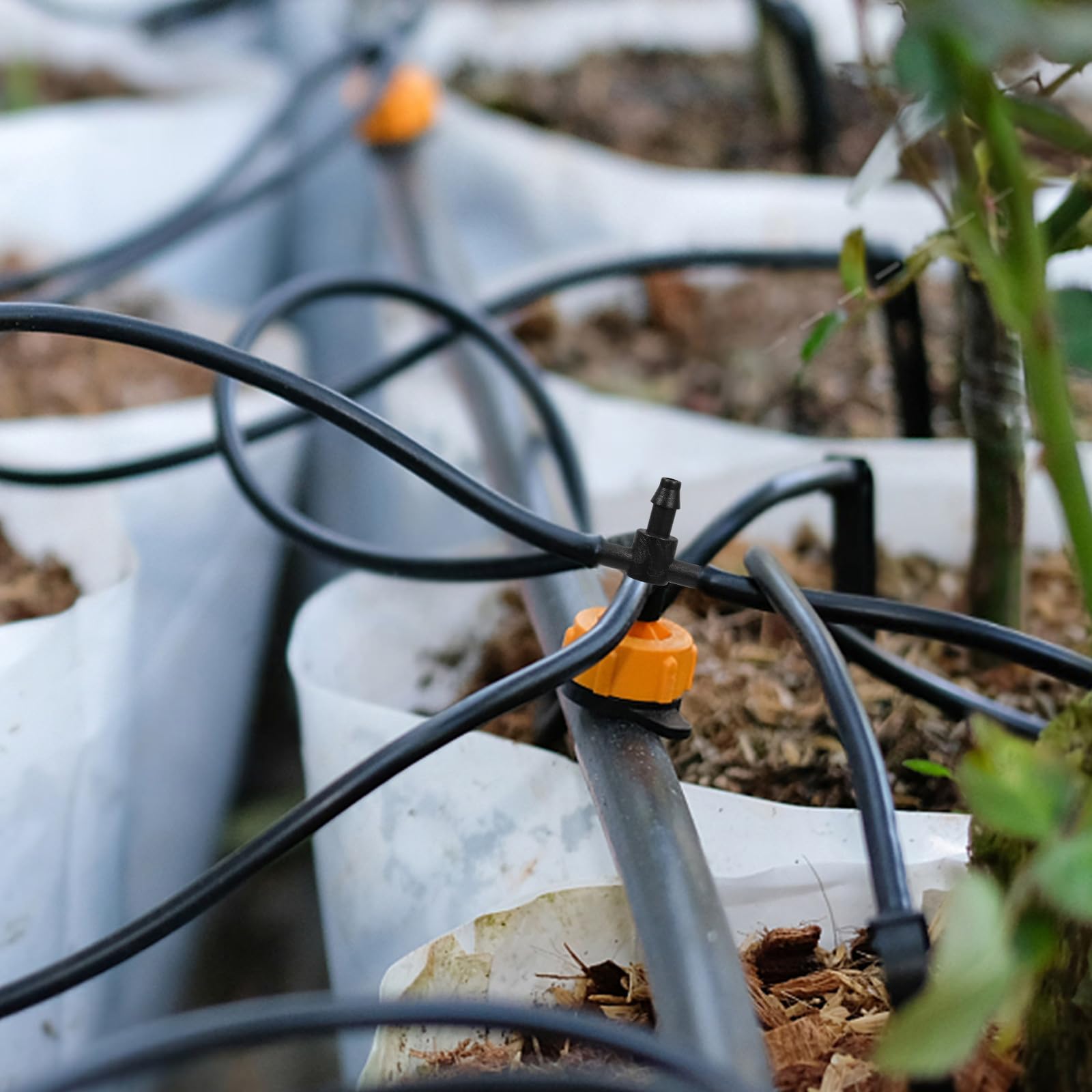 Kisangel Kit D'irrigation Goutte à Goutte en PP et Acier Inoxydable pour Pelouse et Plantes Buses Brumisation et Goutteurs, Système D'arrosage Automatique pour Jardin Extérieur