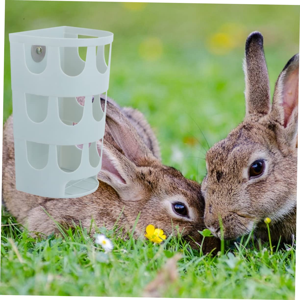 VANZACK 3piezas Comedero De Plástico para Conejos y Aves Base Fija Alimentador Práctico para Roedores y Chinchillas Color Aleatorio