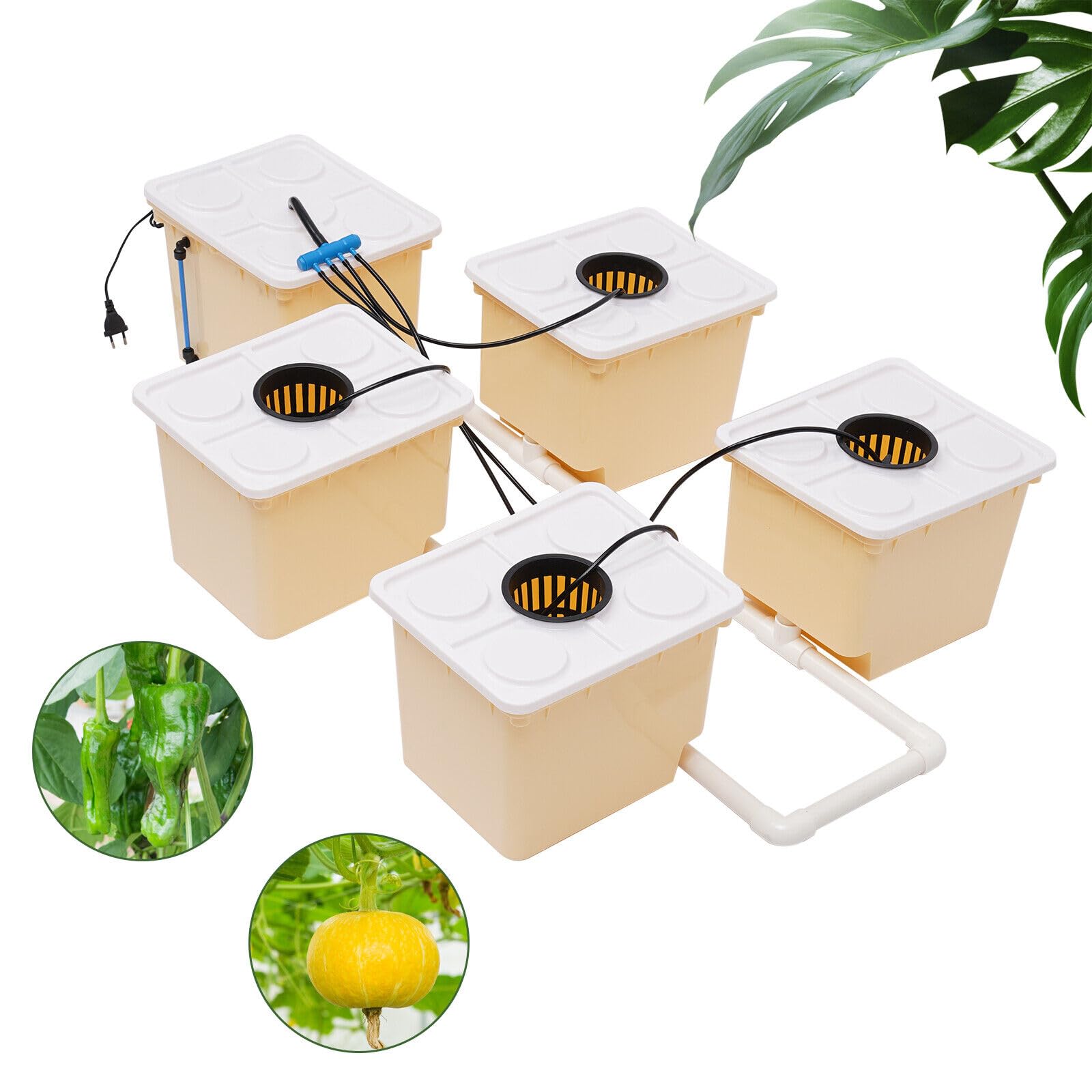 de Cultivo hidropónico de 11 L, Materiales PP y, Kit de Cultivo hidropónico para jardín Interior, Kit de Cultivo hidropónico con 5 Cubos, Bomba de Agua