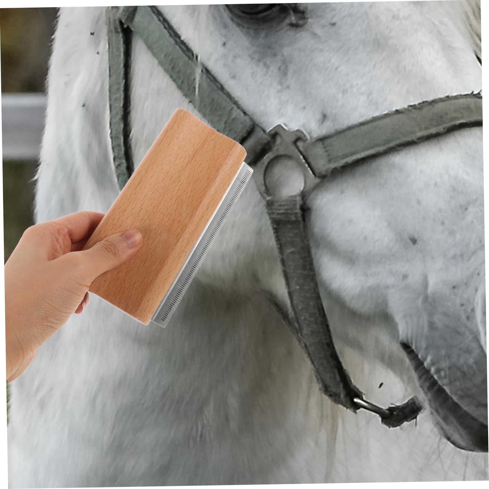 TOYANDONA 5 Piezas peine para depilación de mascotas aseo cepillo de pelo de caballo cepillo para caballos Cepillo de caballo cepillo de crin de caballo herramienta deshedding Haya
