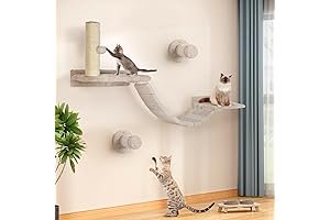 Luxury Cat Wall Shelves: The Purrfect Vertical Playground