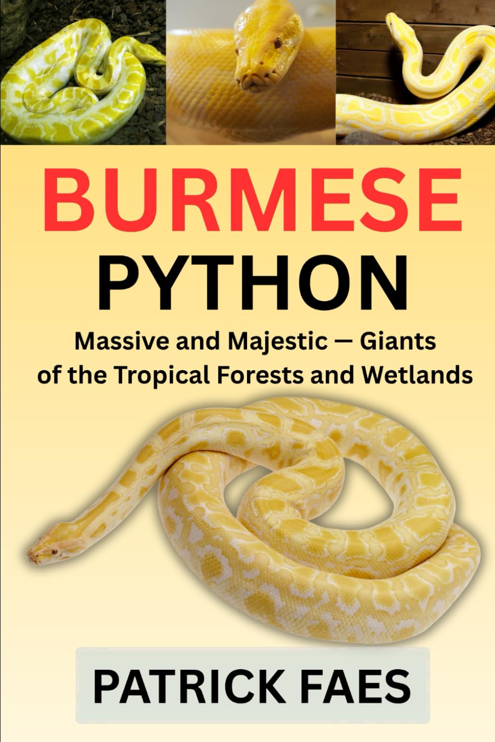 BURMESE PYTHON: Massive and Majestic — Giants of the Tropical Forest and Wetlands