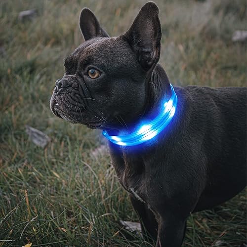 Miniatura 6 de BSEEN Collares de perro con luz LED brillante, collar reflectante para cachorro, collar de perro iluminado ajustable, collar recargable para