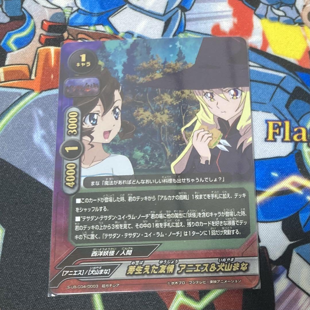 芽生えた友情 アニエス＆犬山まな バディファイト 【公式通販】