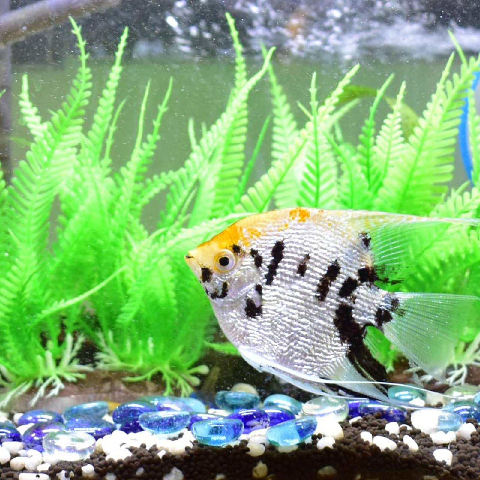 Pietre Decorative Vetro 4-6mm - Ghiaia Colorata Per Acquari, Vasi, Giardino E Piante Grasse - Foto 7