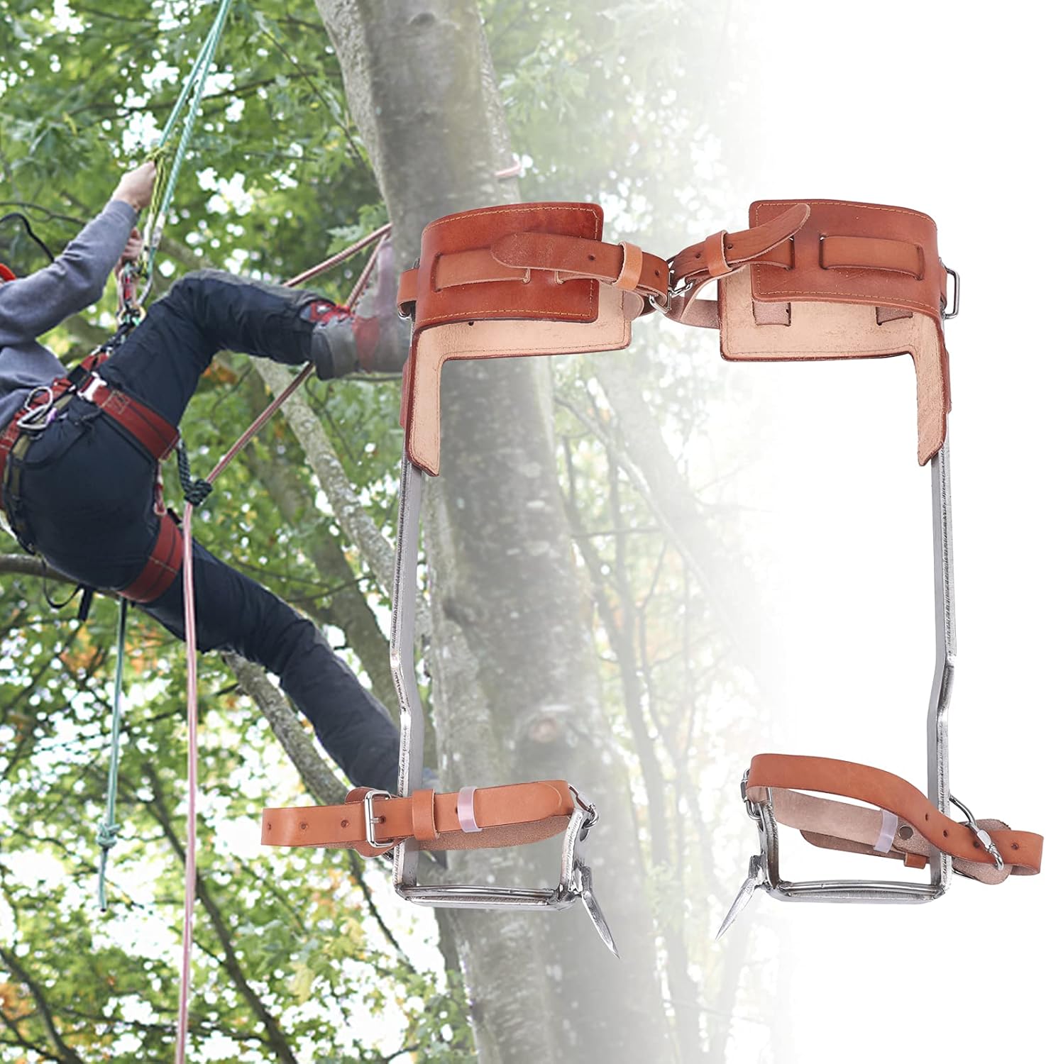 Tree Climbing Spikes, Upthehill Non-Slip Tree Climbing Spurs Tree Gaffs Pads Spur Gear Climbing Steps Spurs Tool with Safety Belt Straps Adjustable Lanyard Rope Carabiner for High-Altitude Logging