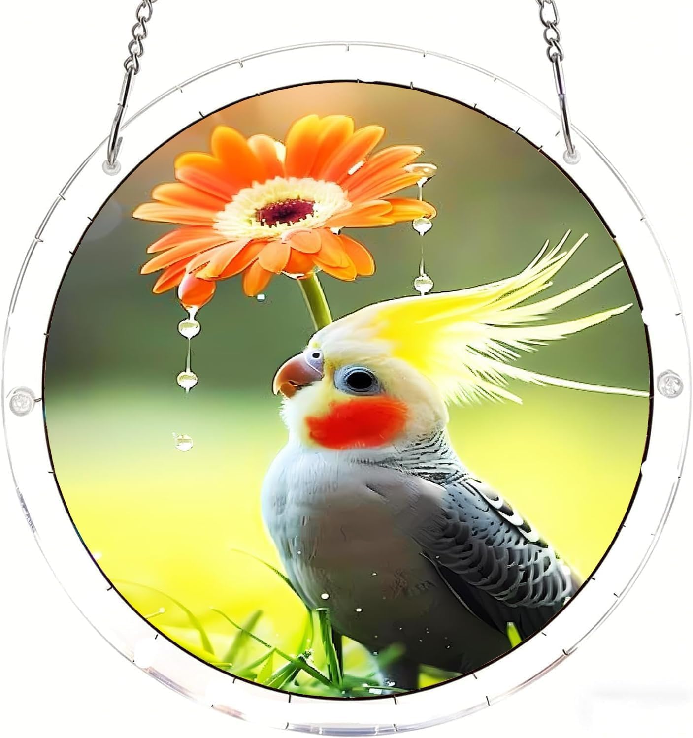 Parrot on The Grass Acrylic Jigsaw Puzzles Suncatcher, 8.9 Inch Window Hanging Suncatcher Acrylic Puzzle, DIY Home Decor Art Gift