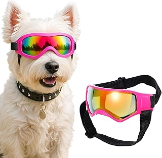 Lunettes de soleil pour chien de petite race avec protection UV, coupe-vent et anti-poussière avec sangles de tête réglables pour l