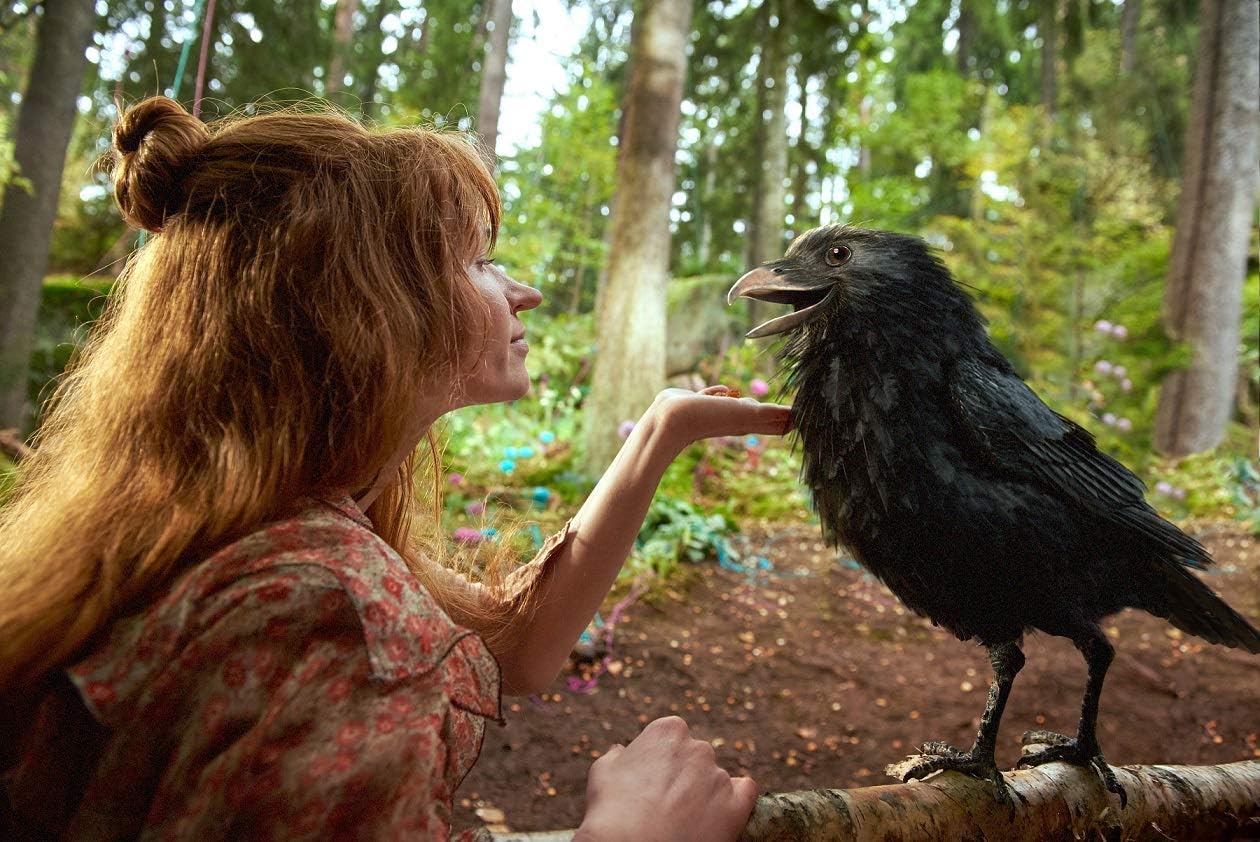 Amazon 小さい魔女とワルプルギスの夜 Dvd 映画