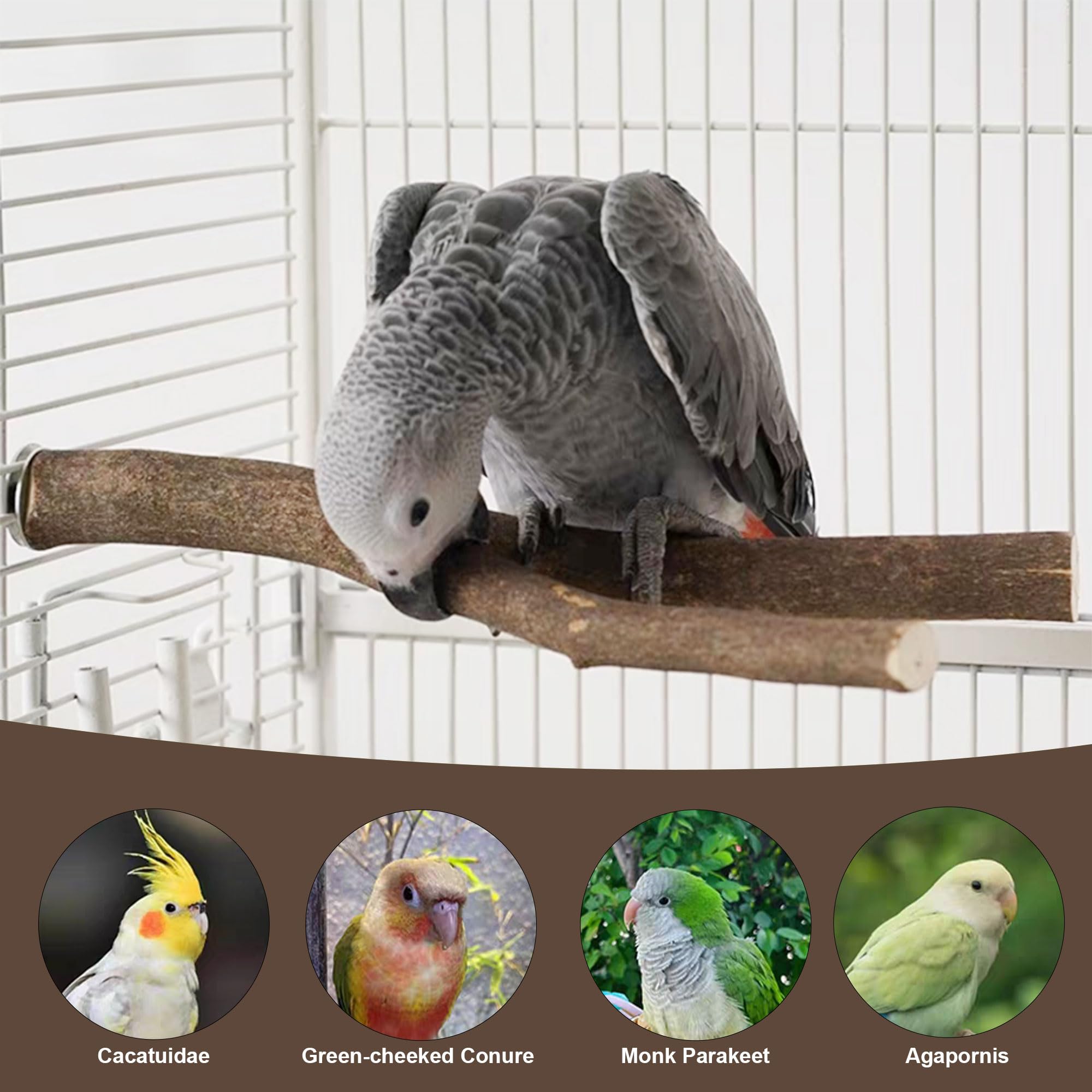 Juego de 8 perchas para pájaros, percas rectas y bifurcadas de madera de abedul natural con plataformas para periquitos, cacatúas, conures, tortolitos, accesorios de jaula para escalada y