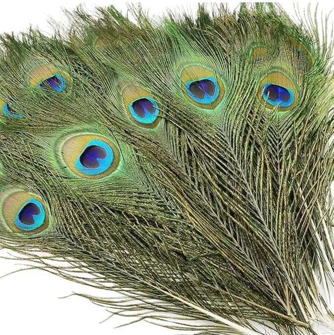 15 Pcs Real Peacock Feather Original Feathers morpankh for Craft Floral Flowers Items Home Decoration, Wedding, House Decor (15 Pcs)-image-11