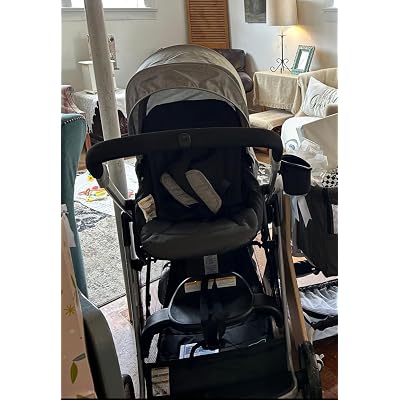 double stroller for dogs Snagle Paw StrideMate PRO  Best Dog Strollers for Large Dogs with Ram   SnaglePaw