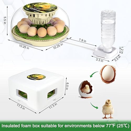 Miniatura 7 de WYD2ANG Incubadoras inteligentes de pollo para incubar huevos con volteador automático, aves, pato, codorniz, incubadora de 12 huevos, pantalla de
