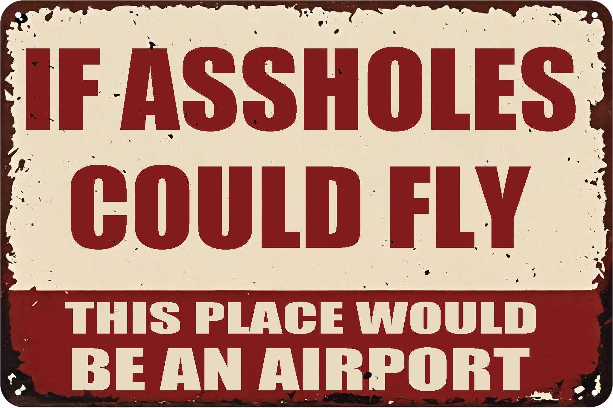Vintage Decor Metal Sign Garage Decor IF ASSHOLES COULD FLY THIS PLACE WOULD BE AN AIRPORT Funny Metal Tin Sign Wall Decor for Bars, Cafes Pubs (Assholes Could Fly) 8"x12"