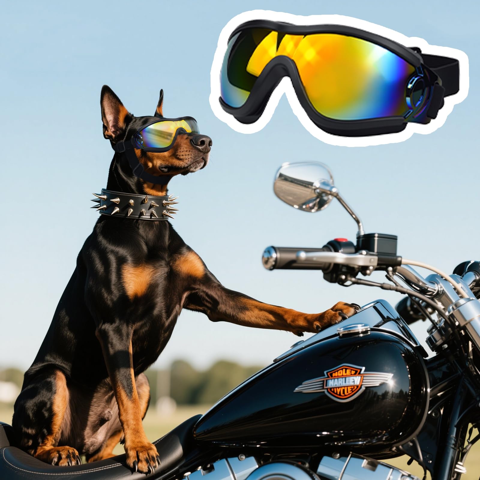 Dwafill Schutzbrille für Hunde, Einstellbar Hunde Sonnenbrille, Hundebrille Schützen Sie die Augen Ihres Hundes, Wasserdicht Winddicht UV-Schutz Brille Hund für Mittel (Black and red)