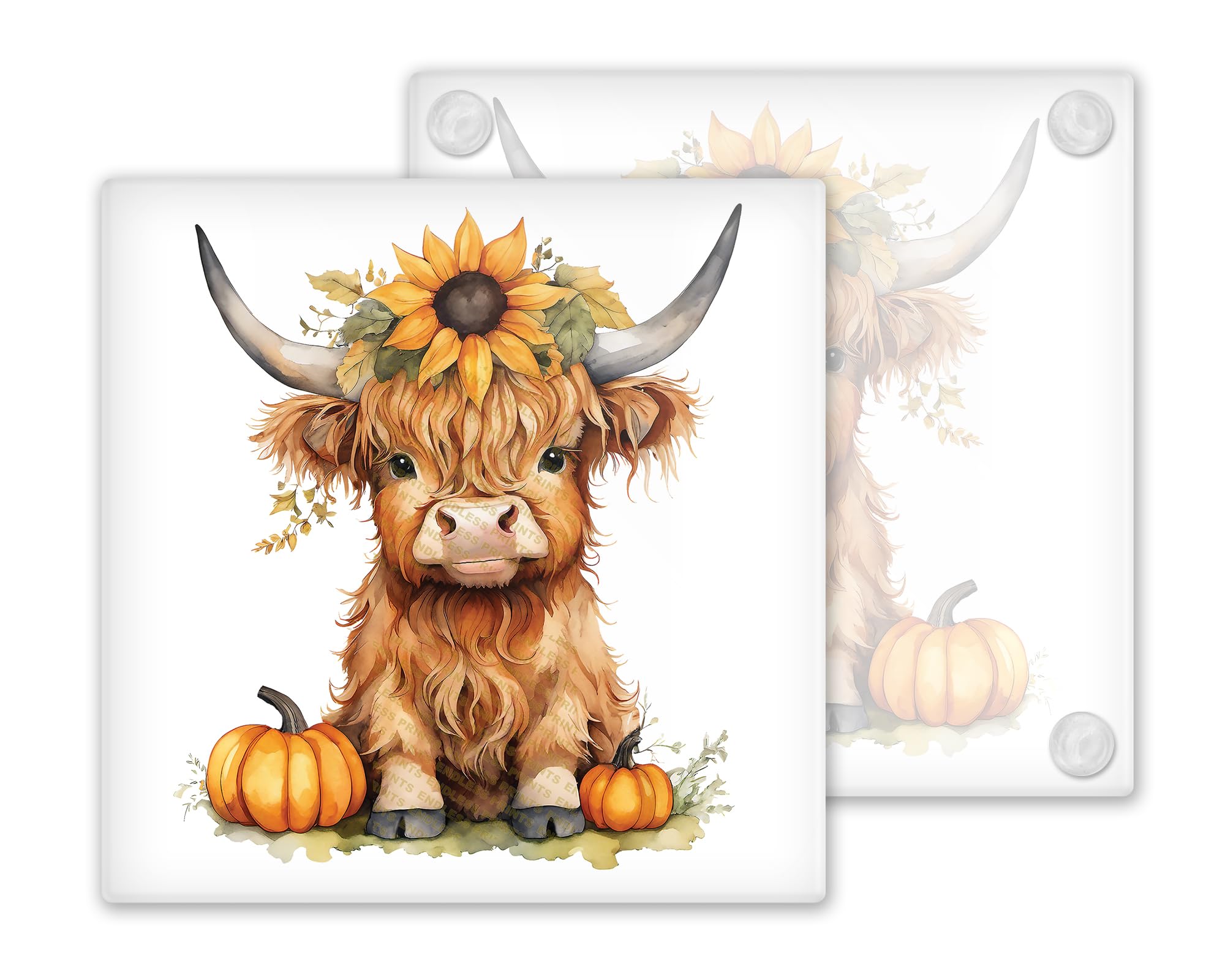Endless Prints Set Of 4 Highland Cow Coasters Premium Glass Coasters, Perfect Christmas, Birthday