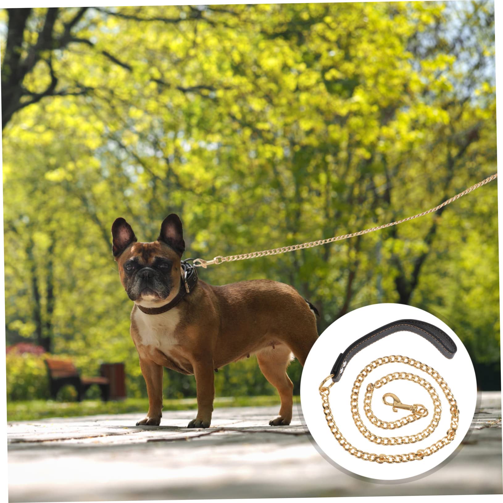 minkissy Correa para Perros de Acero Inoxidable Dorada, Cuerda de Tracción Resistente y Cómoda para Paseos y Control de Mascotas y Cachorros