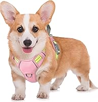 Vista 86 de BARKBAY Arnés para Perro Sin Tirones Talla Grande Arnés Reflectante para Perro con Clip Frontal y Asa de Control Fácil para Caminar Entrenar Correr