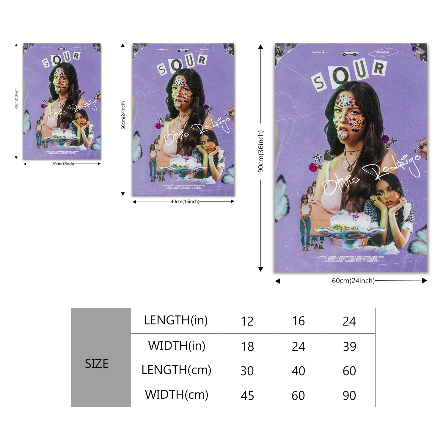 OLIVIA RODRIGO オリビアロドリゴ 直筆サイン ポストカードポスター Olivia Rodrigo NYC New York card Metrocard wearing her