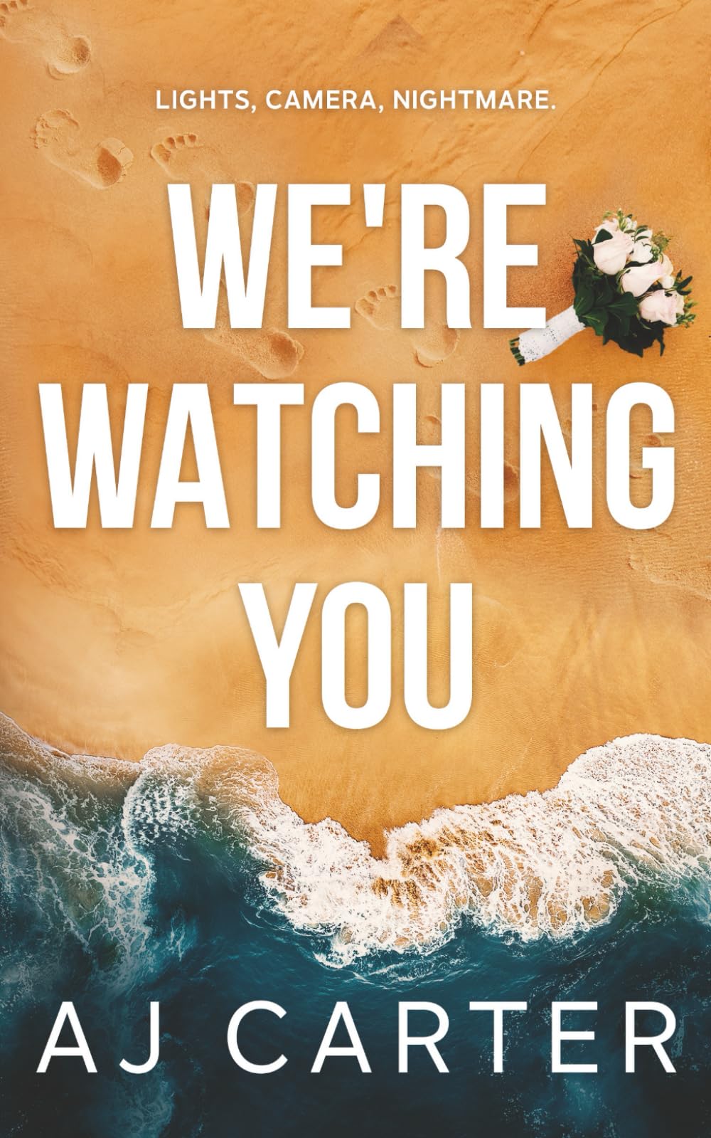 We're Watching You (Standalone Psychological Thrillers)