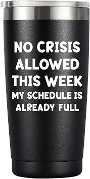 MASGALACC Funny Office Gifts - 20oz Stainless Steel Tumbler, Boss, Teacher, Principal Appreciation Gift, Coworker, Manager, Supervisor, Office Desk Decor for Women Leaders