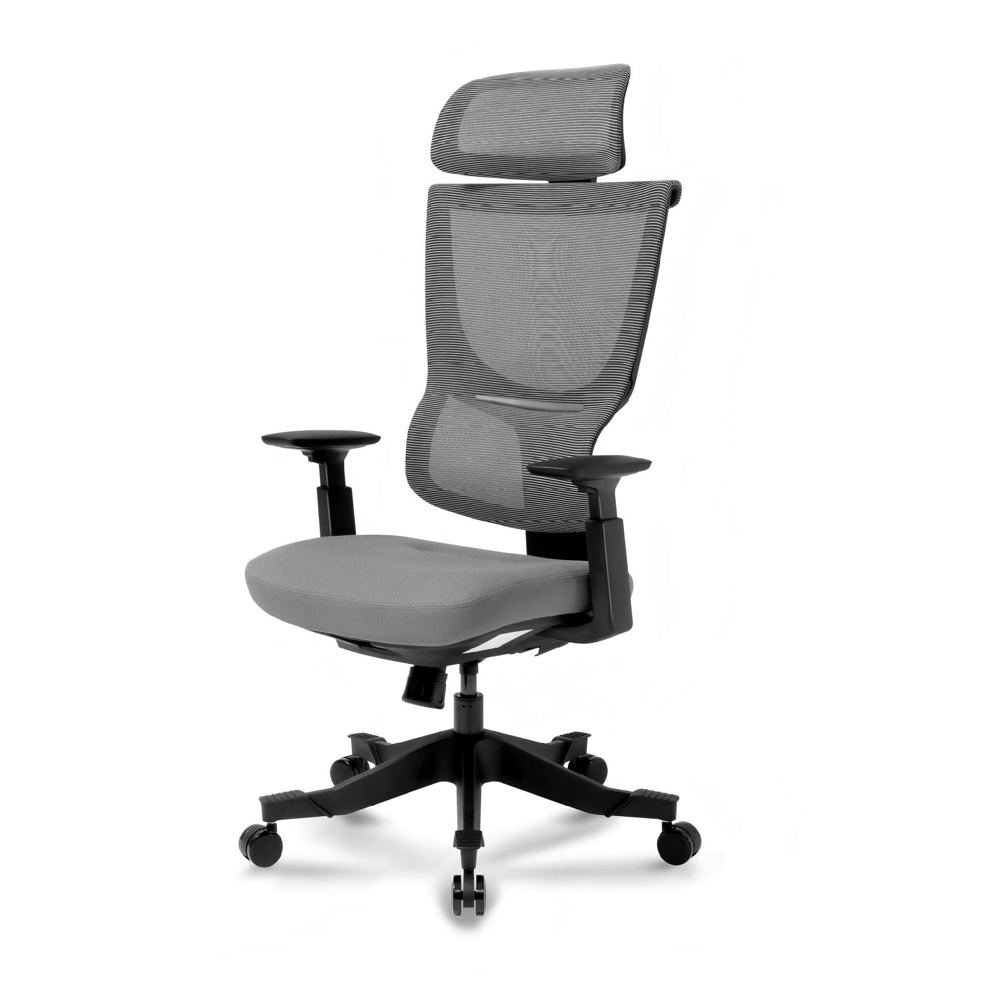 FLEXISPOT BS8 Ergonomic Office Chair, Mesh Desk Chair with 9-Level Backrest Adjustment, Height-Adjustable Armrests, Integrated Lumbar Support, Ergonomic Task Support for Home Office (Dark Grey)
