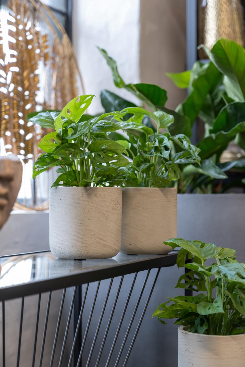 Amazon.com : Pottery Pots 4.17