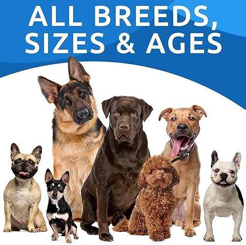 Miniatura 8 de Masticables avanzados para perros para aliviar la alergia y la picazón  Aceite de pescado Omega 3  Probióticos  Alivio de la picazón en la piel