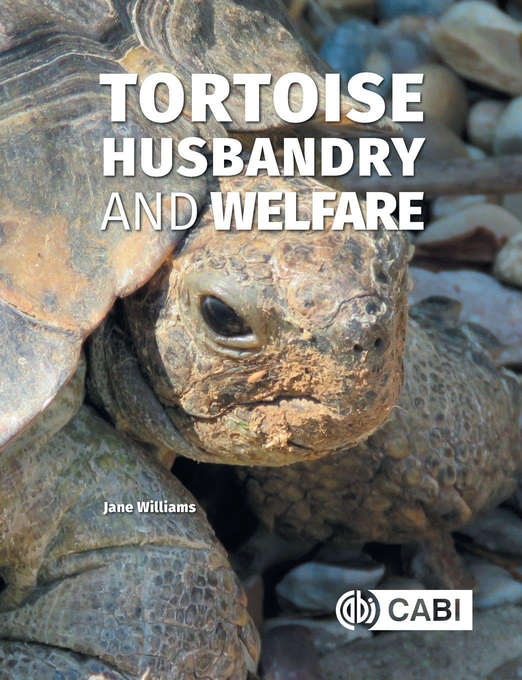 Tortoise Husbandry and Welfare