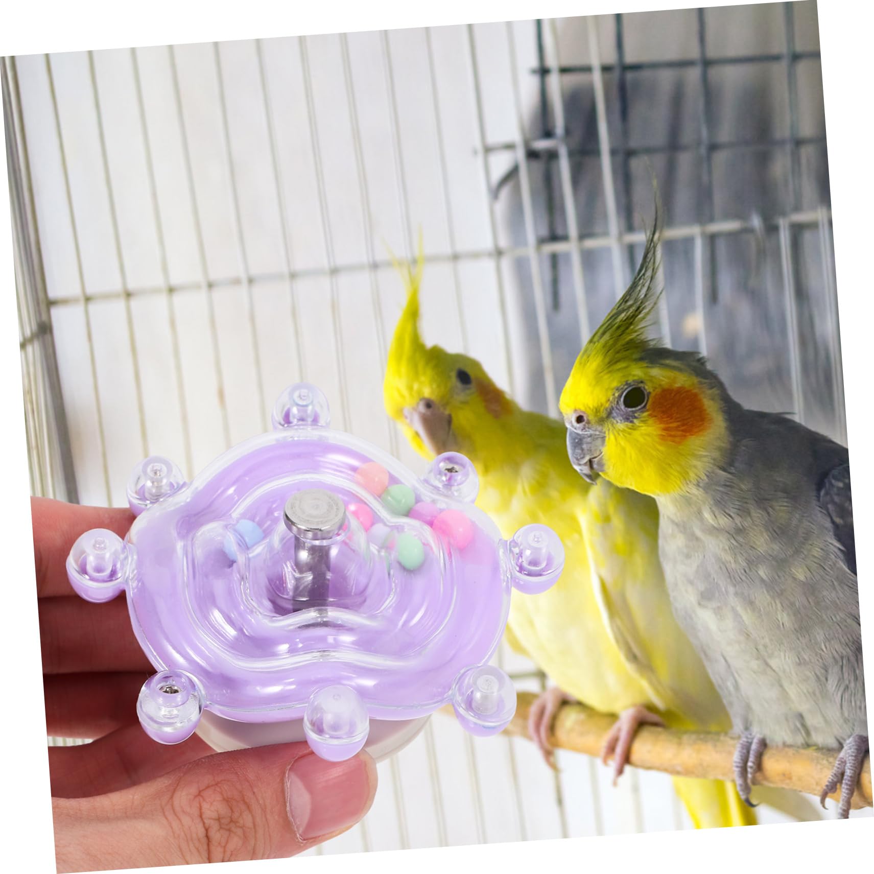 BESPORTBLE 5pièces Bird Swivel Wheel Toy Jouet Interactif Rotatif pour Oiseaux Jouet à Mâcher Et Exercice pour Perroquets Et Perruches pour Vos Petits Compagnons