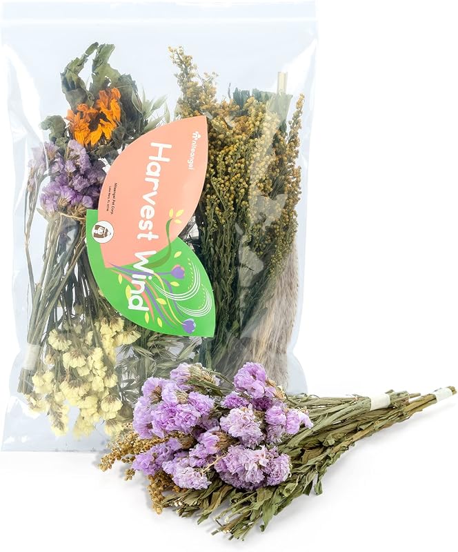 Niteangel Mate de cama para hámster natural y suave: flores secas al aire y sin agregar | Divierte el hábitat de la jaula y agrega colores vibrantes: decoración para hámster enano sirio, jerbos, ratones, degus u otras mascotas de tamaño pequeño