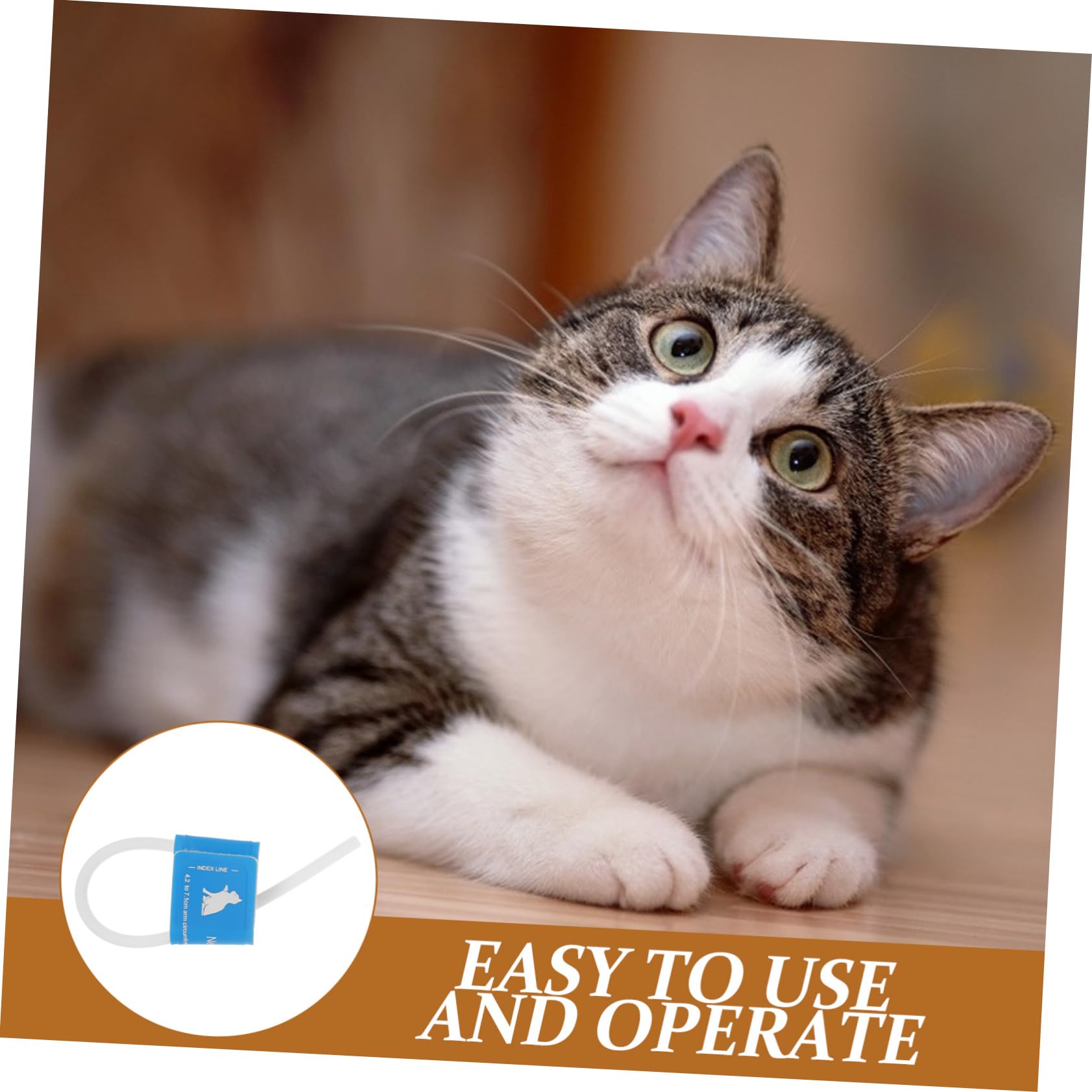 POPETPOP Brassard De Tensiomètre Réutilisable pour Animaux De Compagnie Tensiomètre Vétérinaire Adapté Aux Chiens Et Chats Mesure Précise De La Pression Artérielle Outil Domestique Fiable