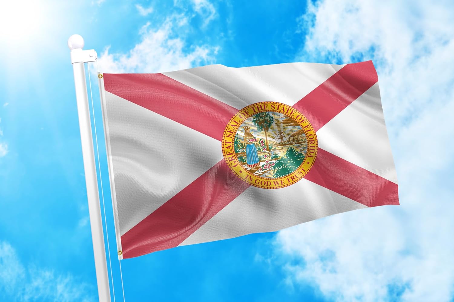 DMSE Florida State Flag 2X3 Ft Foot 100% Polyester 100D Flag UV Resistant (2' X 3' Ft Foot) - Image 2