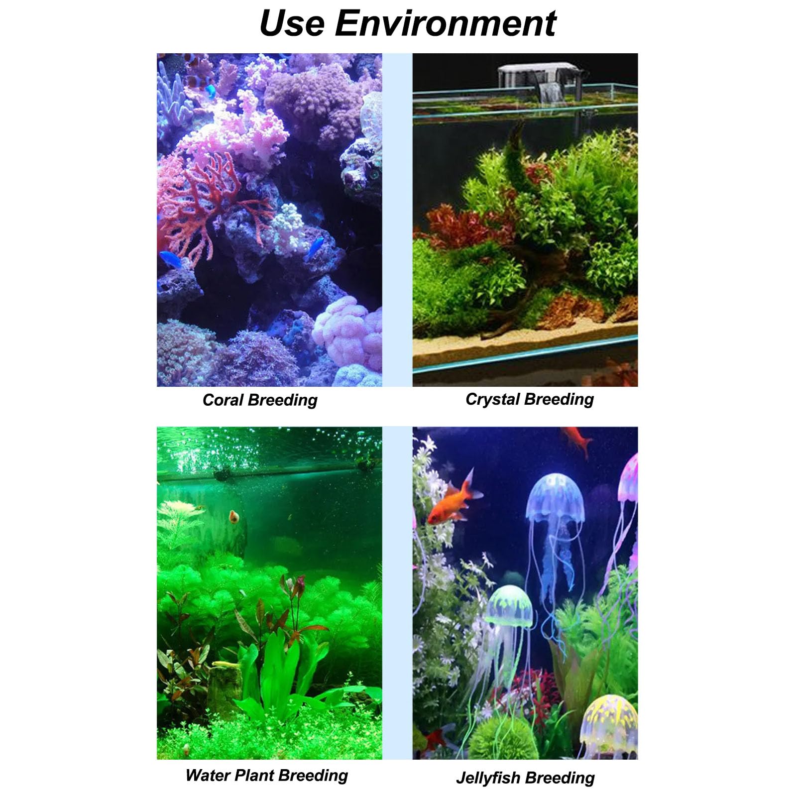 Bewinner Refroidisseur d'eau pour Aquarium avec Écran Tactile et Télécommande - 42 Gal, 1/10 HP, Faible Bruit, Système de Refroidissement pour Poissons