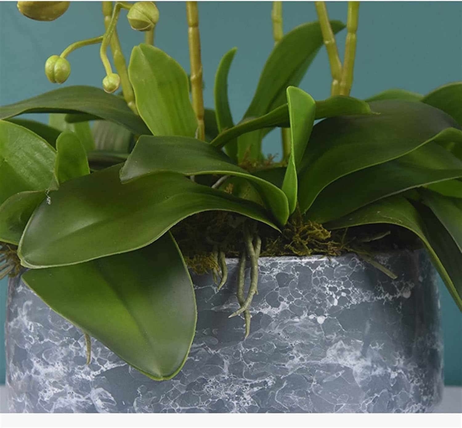 Orchidee, Fiori Artificiali, Fiori Finti, Piante Artificiali Vivaci, Decorazioni per la tavola e per Feste.