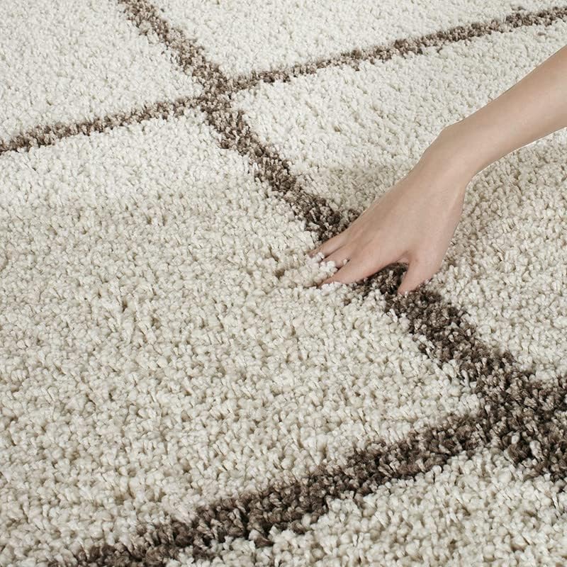 Image of TRANQUIL Polyester Fluffy Fur Rug Shaggy Modern Carpet for Living Room, Bedroom, Guest Room, Kids Room (4x6 Feet, Ivory Box)